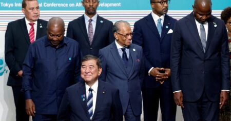 Japan commits .5B in loans to Africa at major summit
