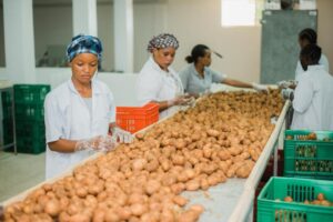 Agriculture Business Opportunities in Tanzania