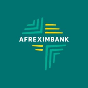 Afreximbank and South Africa: Building the Foundations of Infrastructure Renewal
