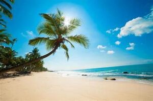 Tourism Business Opportunities in Nigeria