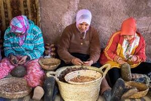 Agriculture Business Opportunities in Morocco: From Citrus to Climate-Smart Farming