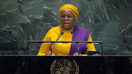 Africa at UNGA 2025: Leaders Demand Security Council Reform and Equitable Trade