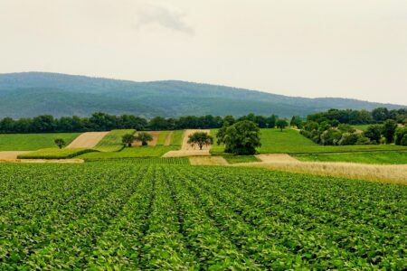 Unlocking Agriculture Business Opportunities in Nigeria’s Billion Market Unlocking Agriculture Business Opportunities in Nigeria’s Billion Market