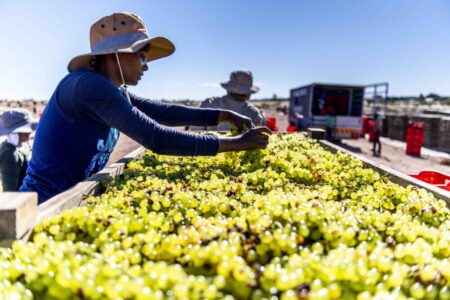 South Africa’s Resilient Market Ready for Investment