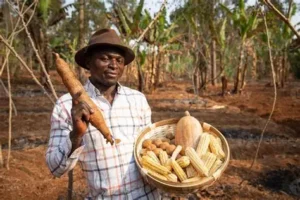The Agricultural Frontier: Breadbasket Zones and Agrarian Potential as Continental Growth Engines