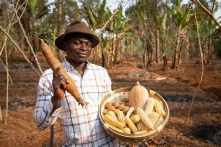 The Agricultural Frontier: Breadbasket Zones and Agrarian Potential as Continental Growth Engines